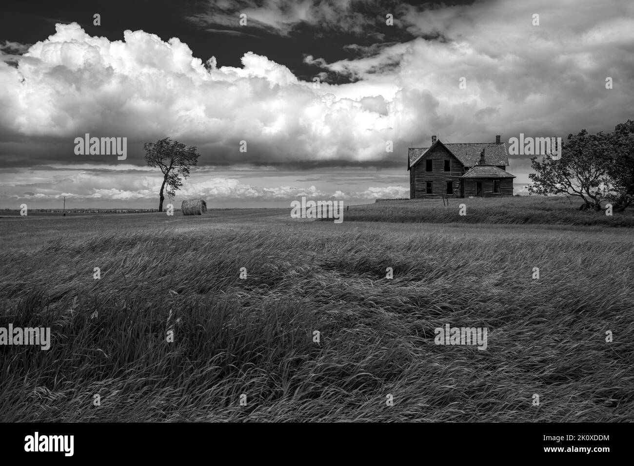 USA, Great Plains, North Dakota, Abandoned farm in central North Dakota Stock Photo