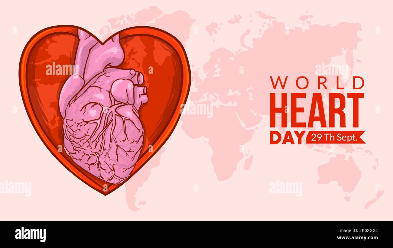 world heart day concept. heart organ inside love heart vector ...