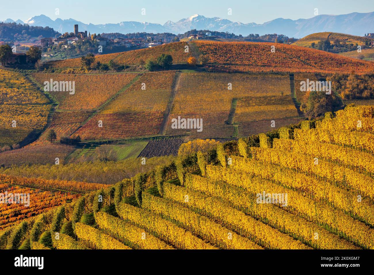 View of beautiful autumnal vineyards on the hills of Langhe in Piedmont, Northern Italy. Stock Photo