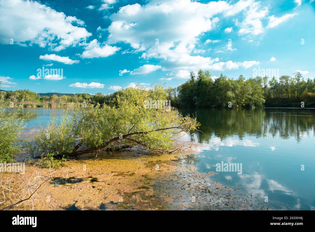 Biodiversity Haff Reimech, wetland and nature reserve in Luxembourg ...