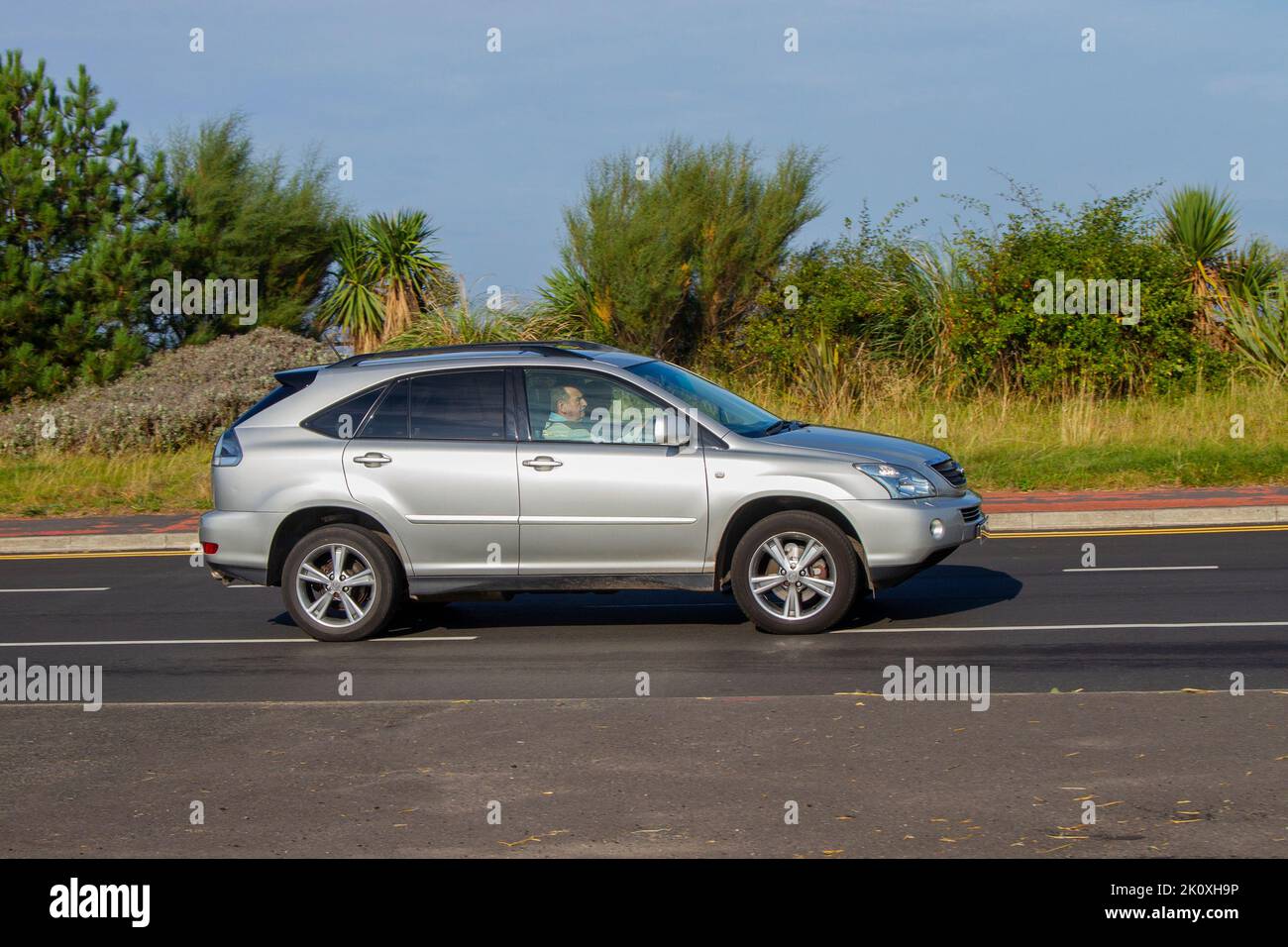 Lexus RX 400 Hybrid 2006 Silver Metallic Left Stee | HLJ.com