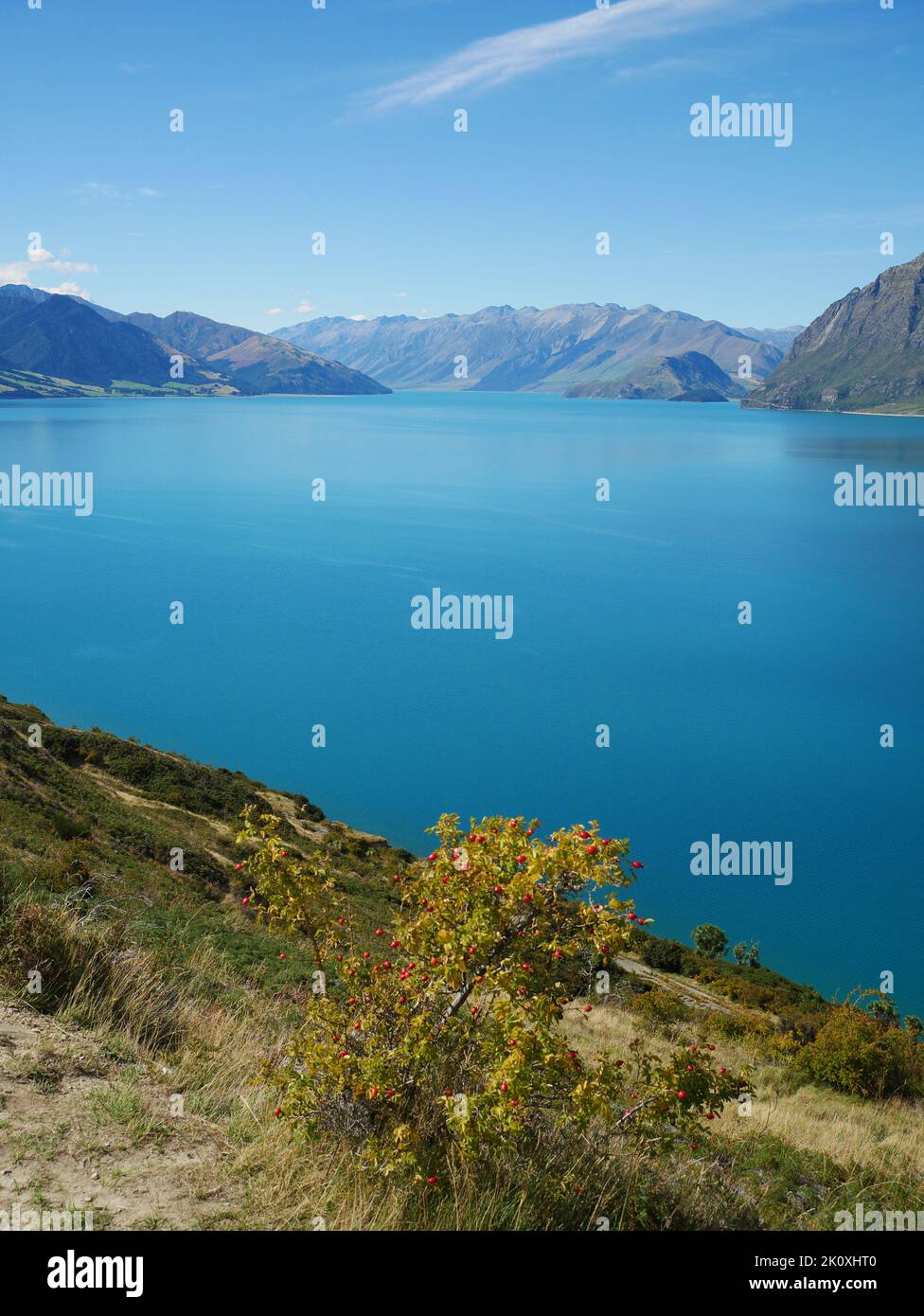 Lake Hawea Neuseeland New Zealand Stock Photo