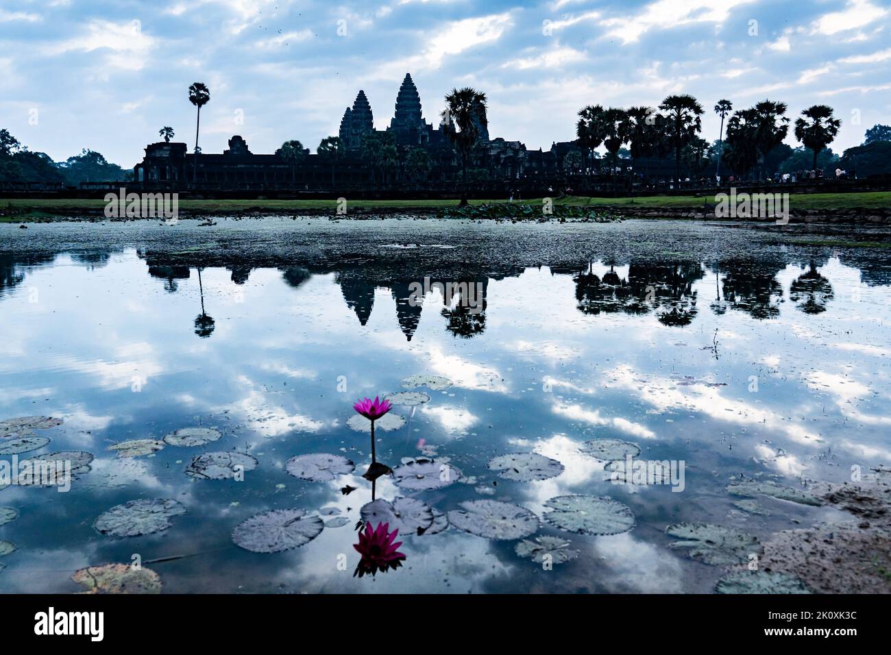Cambodia. Siem Reap Province. A silhouette of Angkor Wat (Temple City) and its reflection in the lake at early morning.  A Buddhist and temple complex Stock Photo