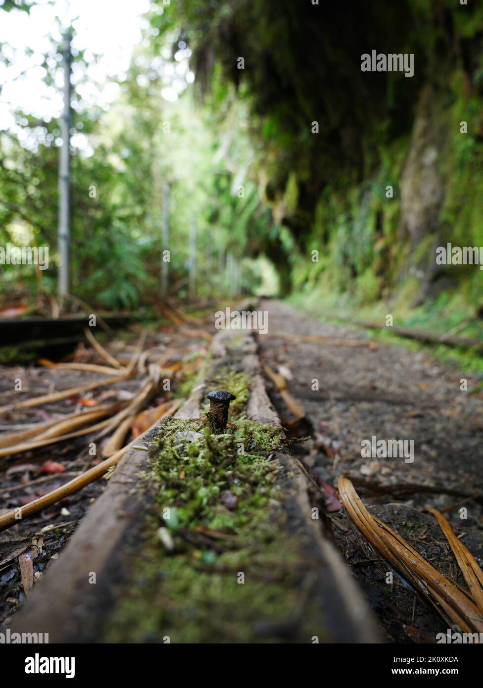mossy rusty nail on the stud down train tracks Stock Photo