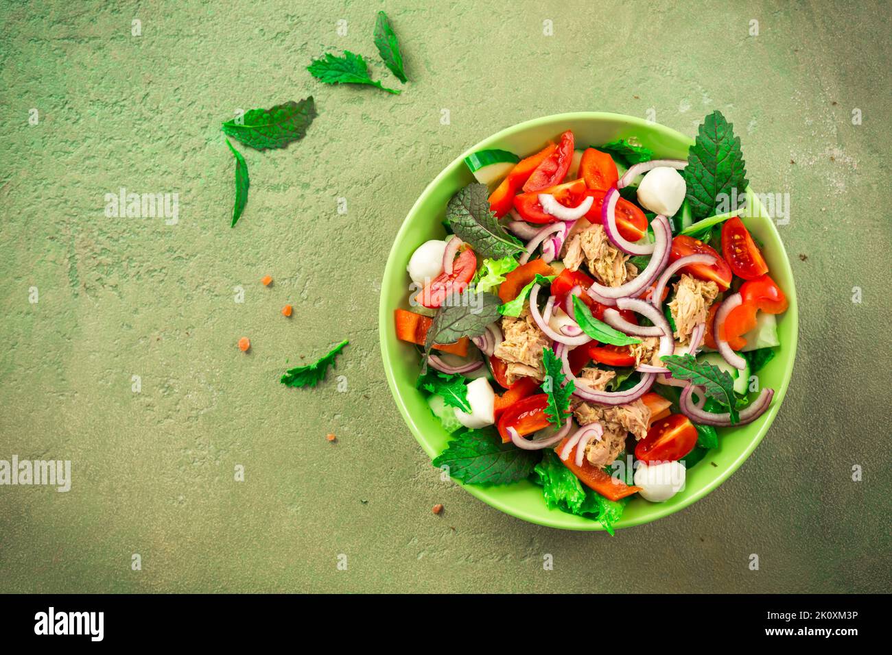 Tuna salad with mozzarella, onions and Japanese mustard greens, mizuna and tatsoi Stock Photo