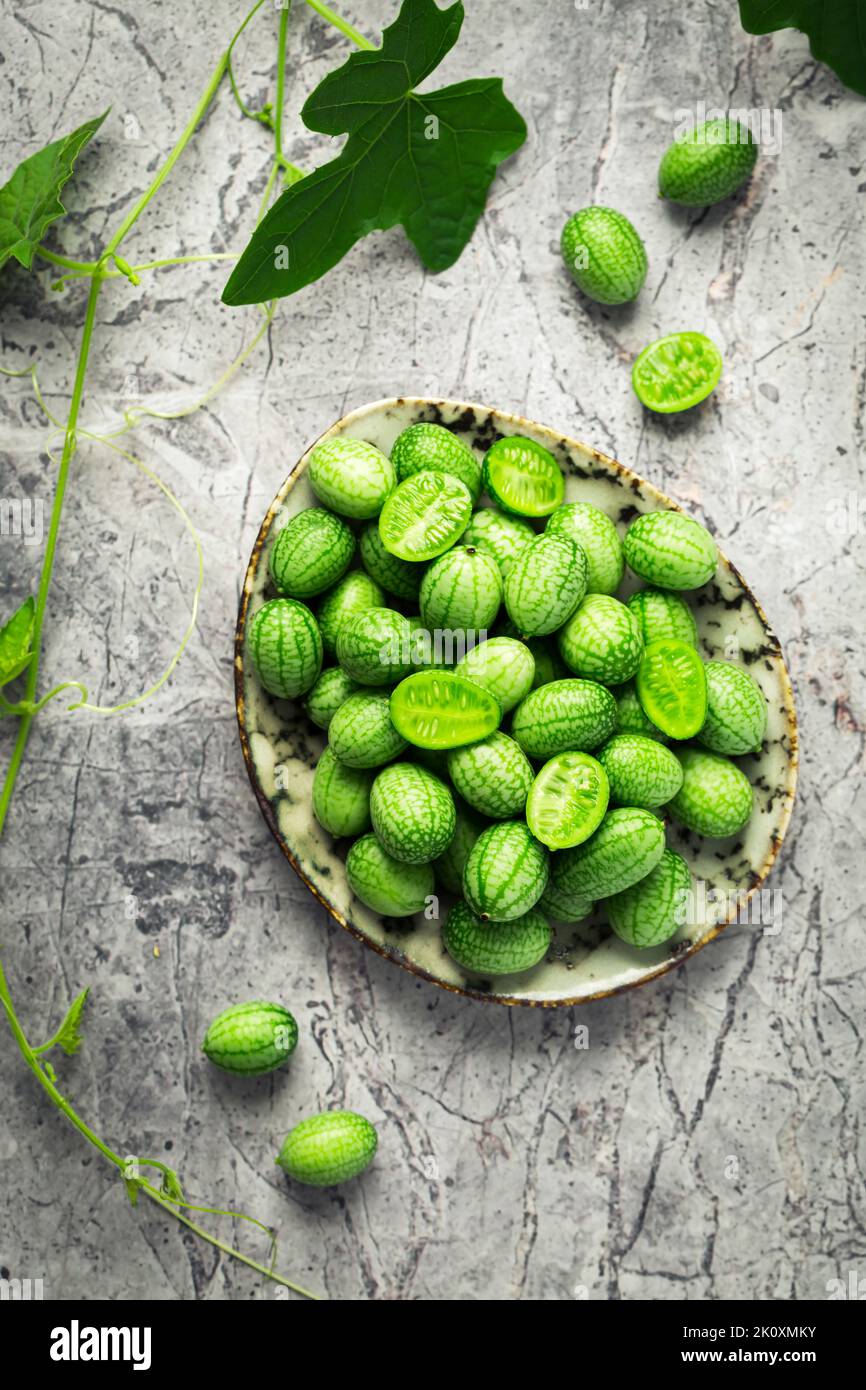 Cucamelon (Melothria scabra) Mexican sour cucumber, pepquinos. Edible