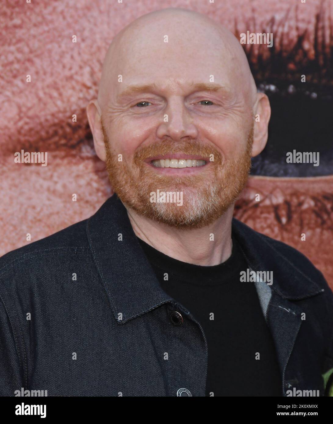 Los Angeles, USA. 13th Sep, 2022. Bill Burr at Netflix's BLONDE Los Angeles Premiere held at the TCL Chinese Theater in Hollywood, CA on Tuesday, ?September 13, 2022. (Photo By Sthanlee B. Mirador/Sipa USA) Credit: Sipa USA/Alamy Live News Stock Photo