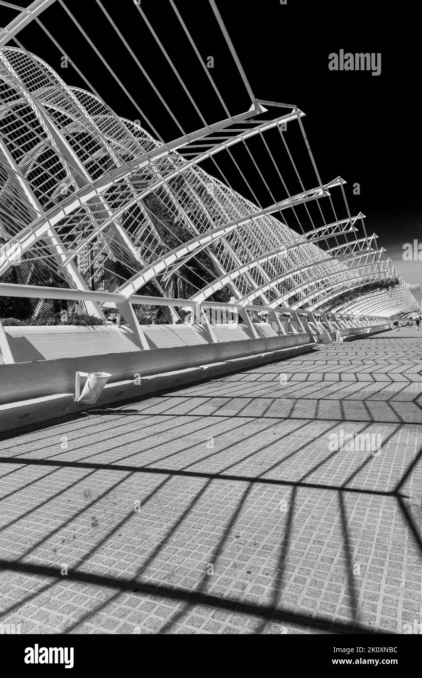 The canopy of the L'Umbracle gardens, Umbracle gardens, with shadows at City of Arts and Sciences in Valencia, Spain in September Stock Photo