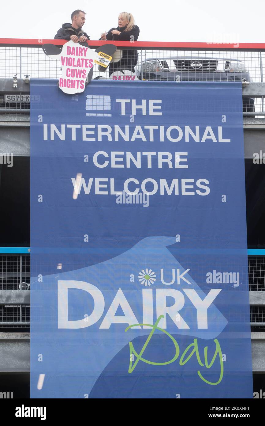 International Centre, Telford, Shropshire 14th September 2022. Activists from the animal rights group Animal Justice Project protesting at UK Dairy day one of the largest agricultural dairy events held in the UK. Credit Tim Scrivener/Alamy Live News Stock Photo