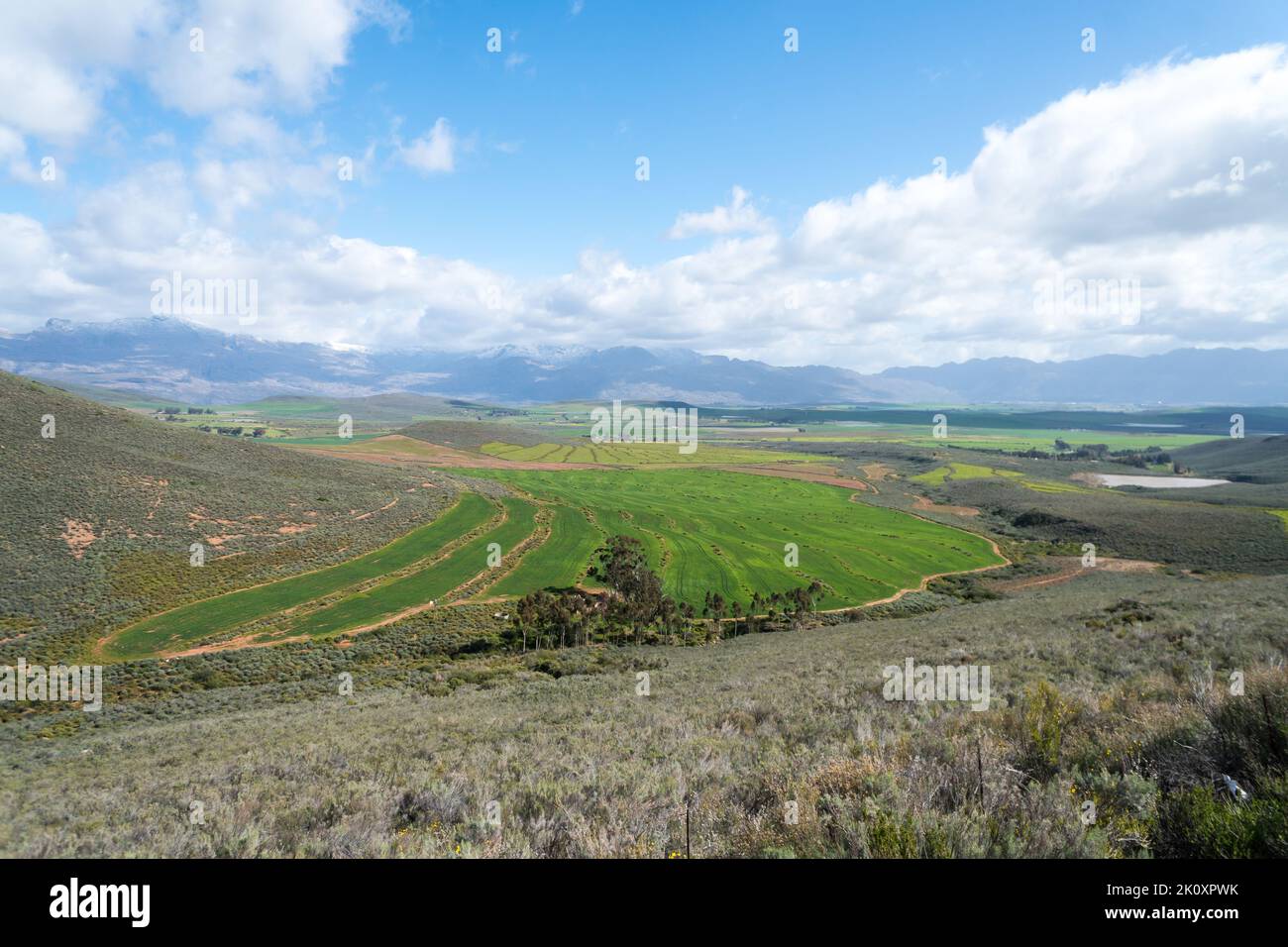 agricultural landscape of cultivated contoured hillside and mountains and clouds in rural countryside of Western Cape, South Africa concept farming Stock Photo