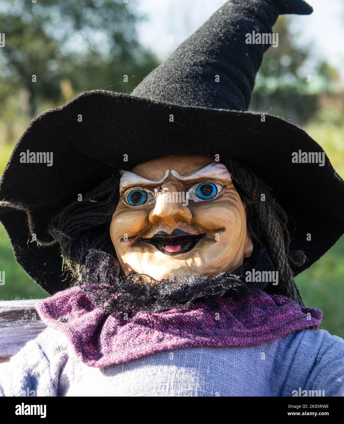 Halloween witch in autumn. concept for  dress halloween festival or carnival.  Doll costume. Stock Photo