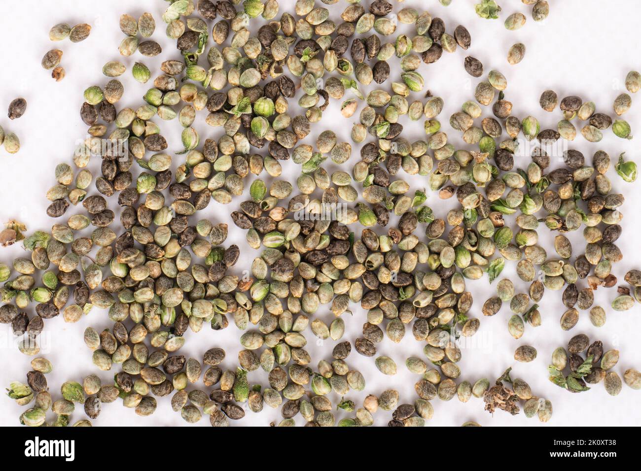 cannabis seeds closeup, hemp grain macro. Stock Photo