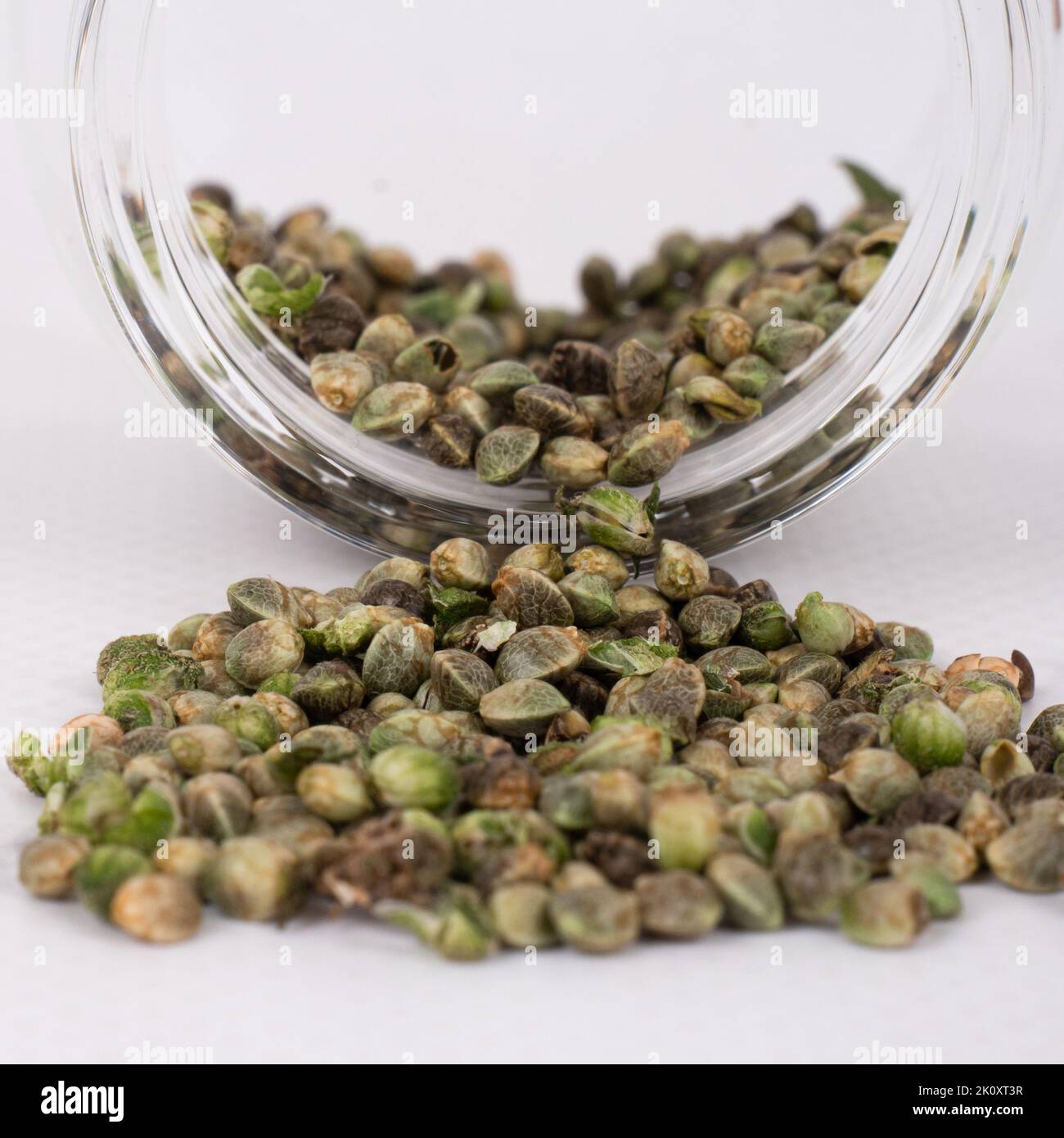 cannabis seeds in glass jar closeup, hemp natural grain. Stock Photo
