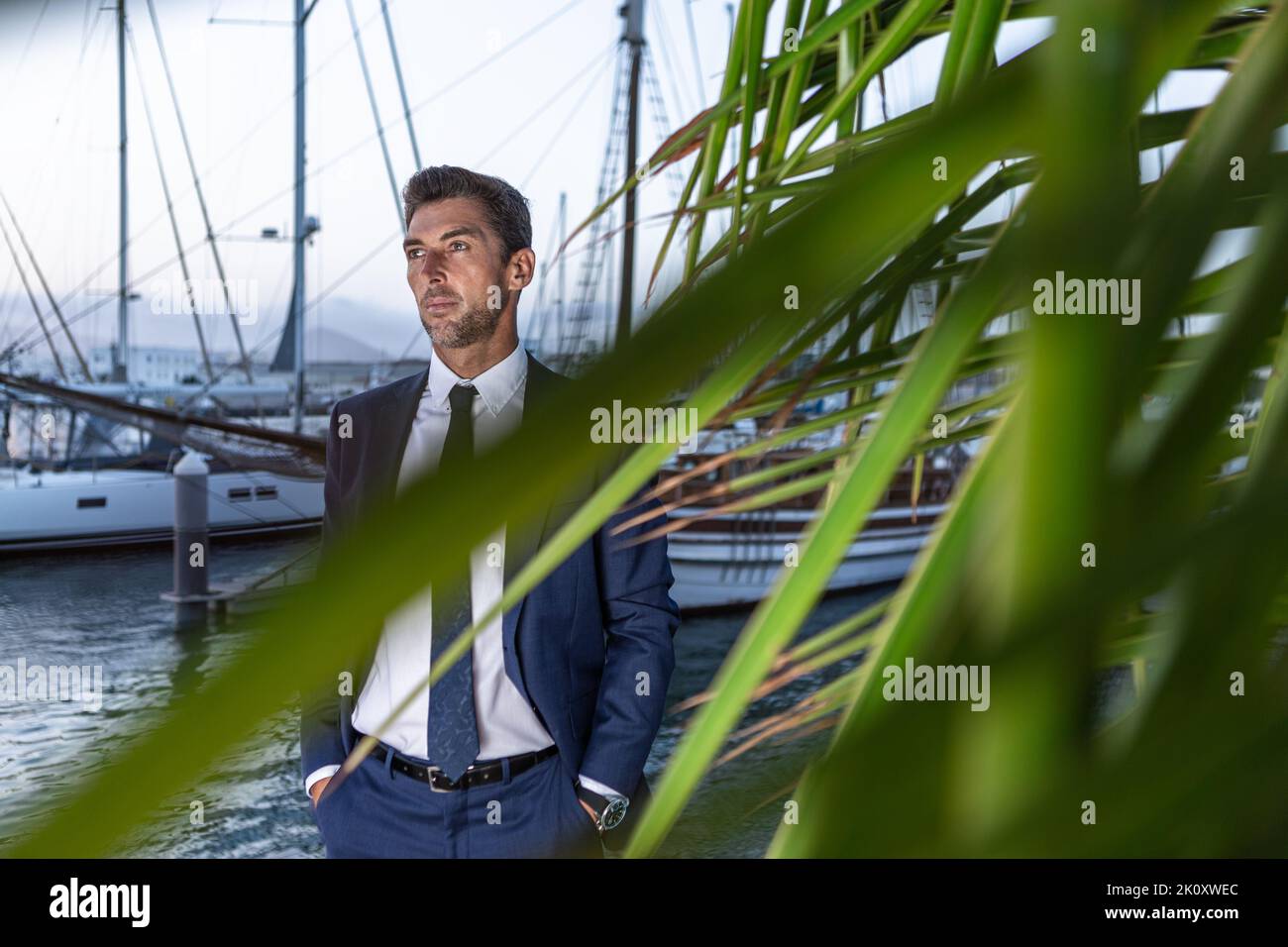 Male entrepreneur in suit holding hands in pockets and looking away while standing behind exotic palm leaves against sea water and yachts Stock Photo