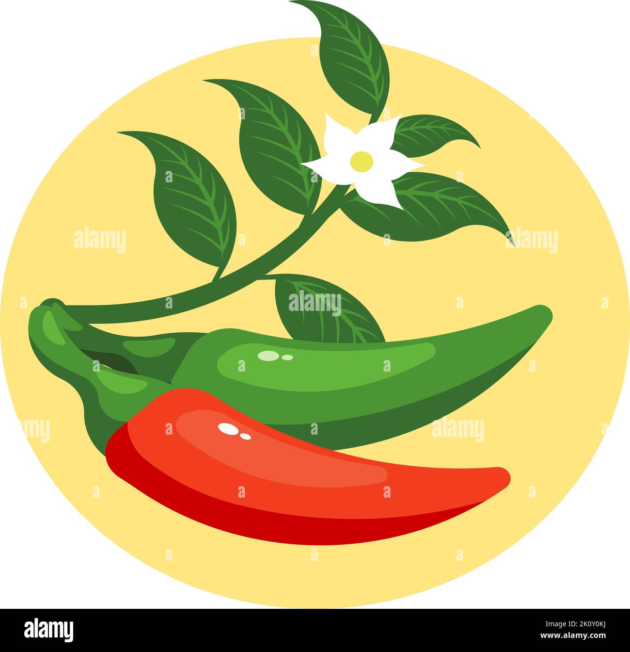 Vector Illustration of Red and Green Chili Peppers Plant Stock Vector ...