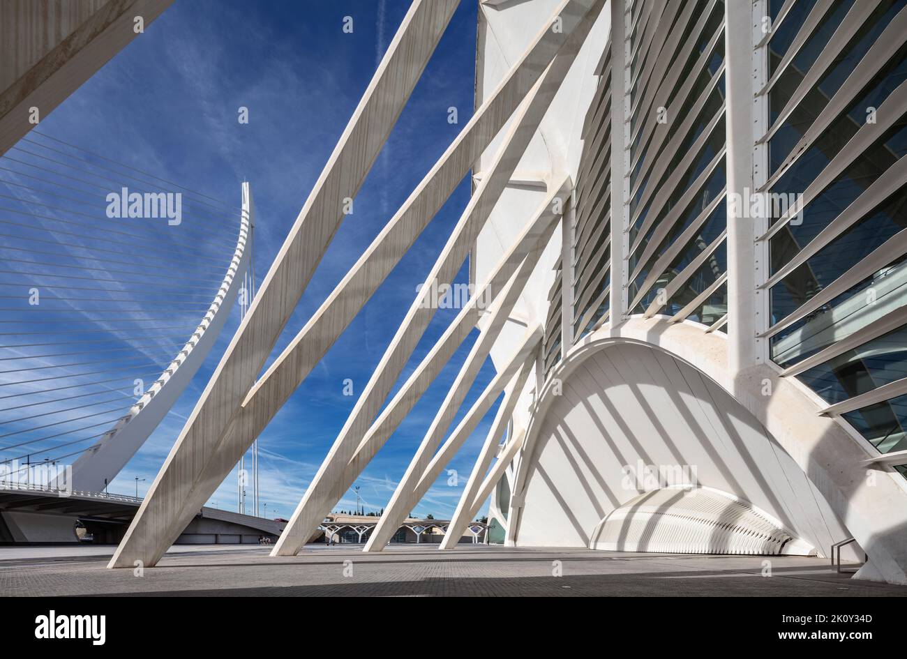 City of Arts and Sciences (Ciutat de les Arts i les Ciències) in Valencia, Spain. Stock Photo