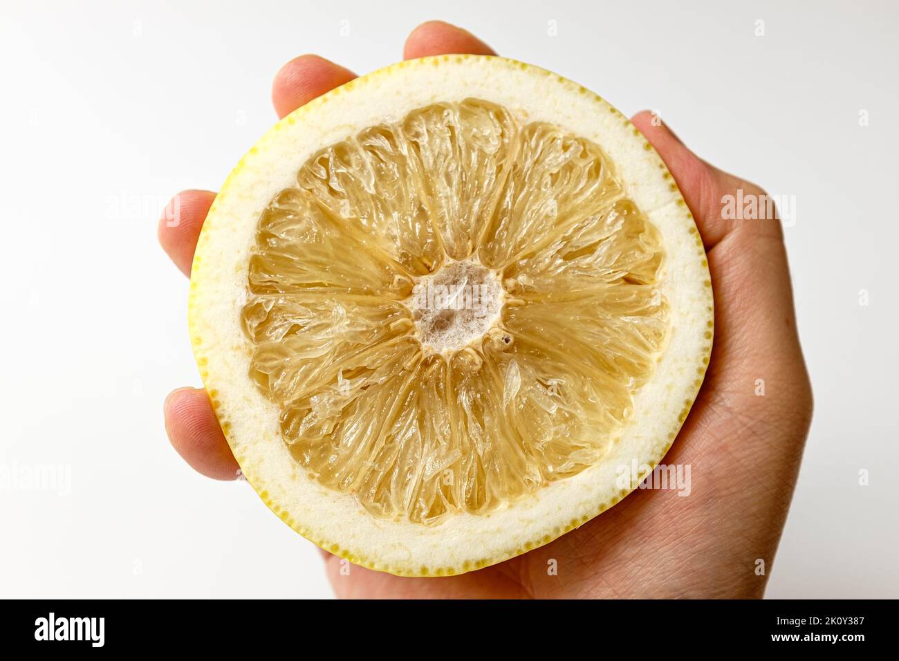 white grapefruit on a white background Stock Photo
