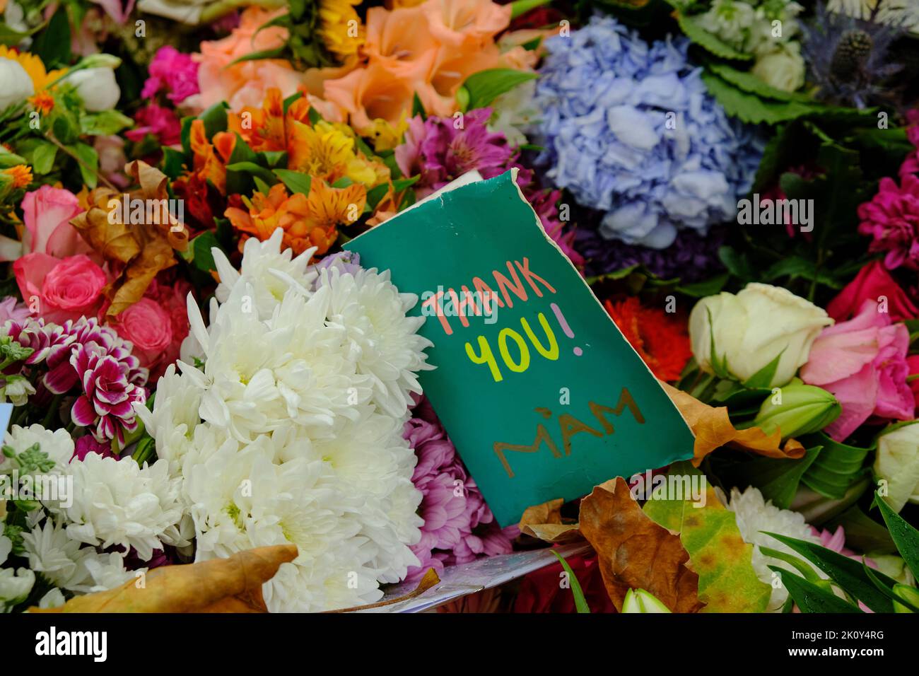 Thank You card as part of a floral tributes to the late Queen festoon the grounds of Green park in London Stock Photo
