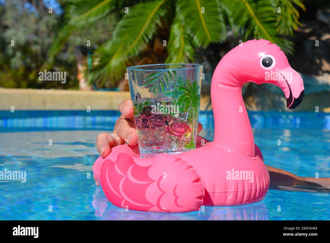 Refreshing drink in woman's hand, in bright pink flamingo glass and holder floating in swimming pool Stock Photo