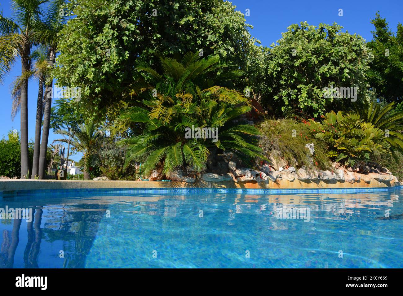 Swimming pool and poolside rockery in Mediterranean garden on sunny summer day Stock Photo