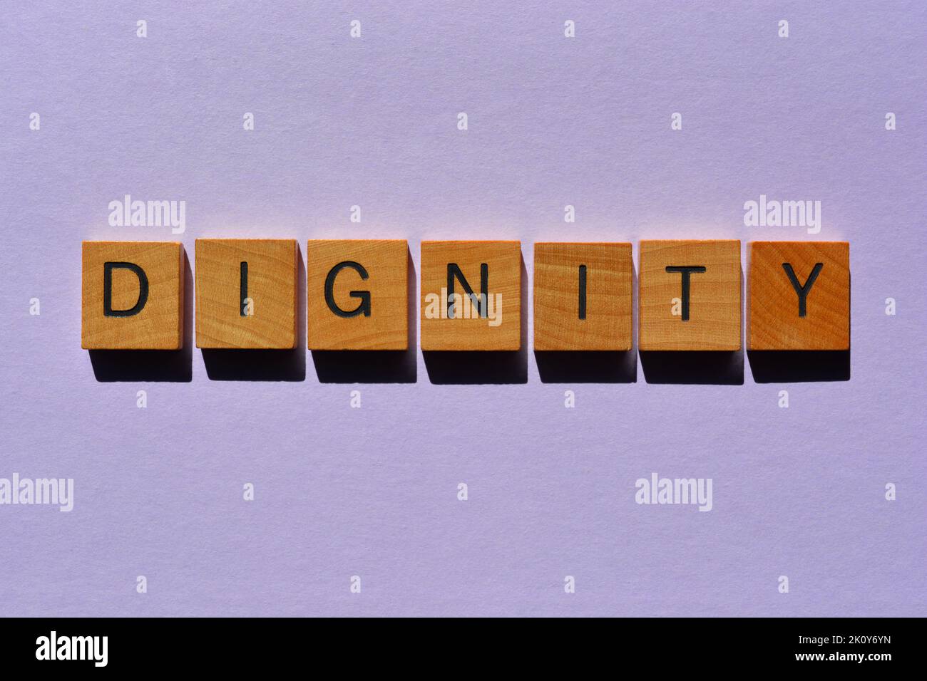 Dignity, word in wooden alphabet letters isolated on background Stock Photo