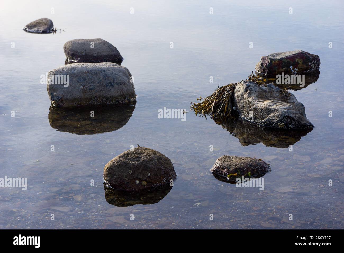 Rocks in seawater at low tide on the coast of Maine. Stock Photo