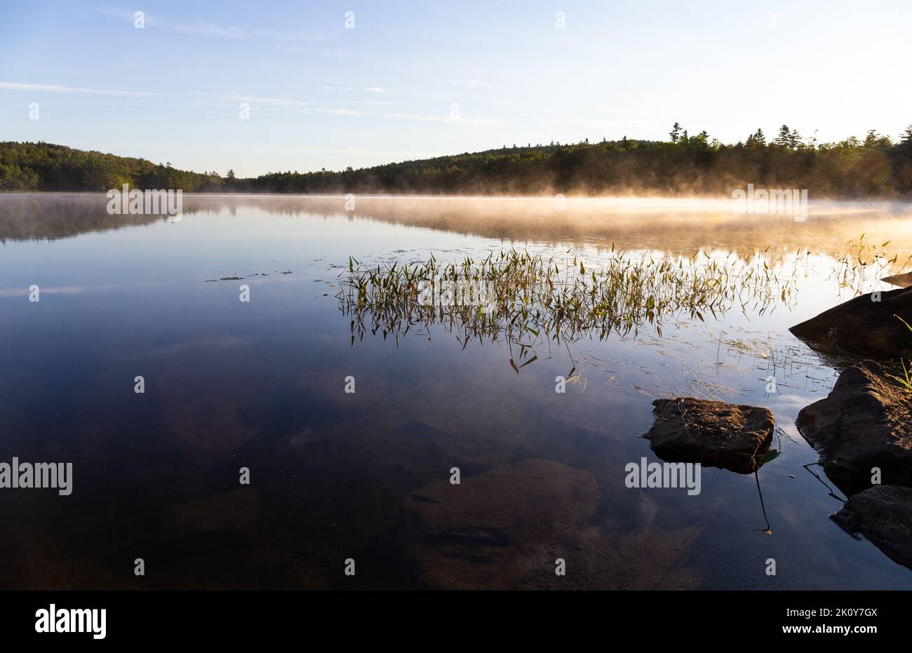 Calm morning at Swan Lake in Maine with fog on the surface at sunrise on a late spring day. Stock Photo
