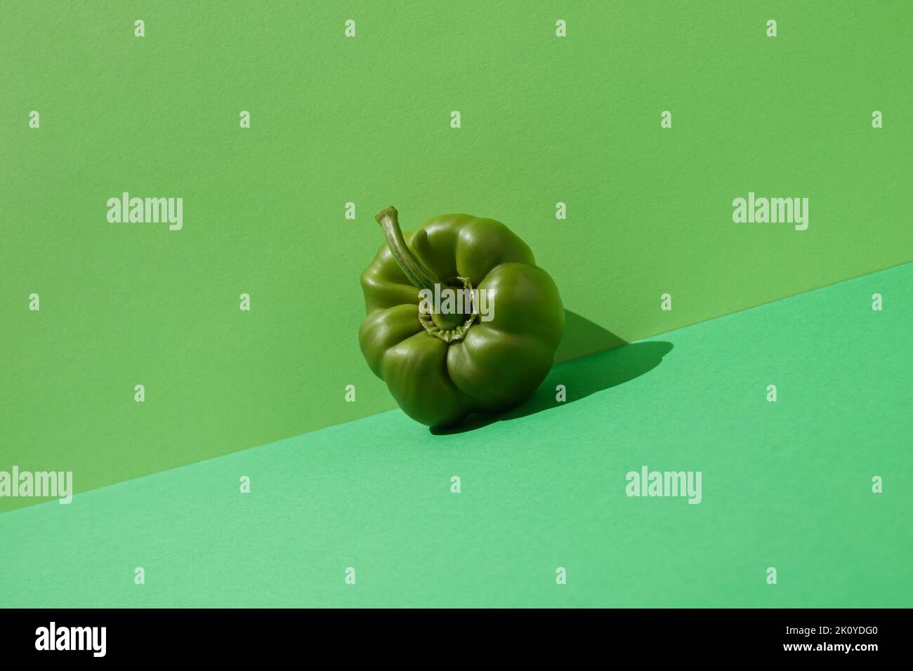 Fresh green pepper on green background. Tilted angle view. Minimal concept. Stock Photo