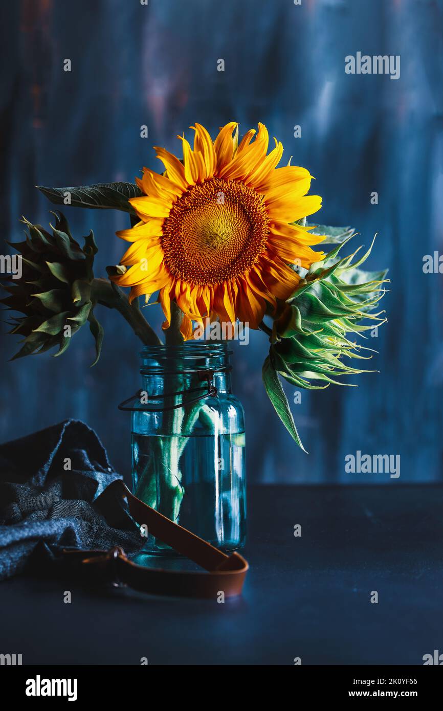 Bouquet of sunflowers in an antique blue mason jar with apron lying nearby. Selective focus with blurred background. Stock Photo