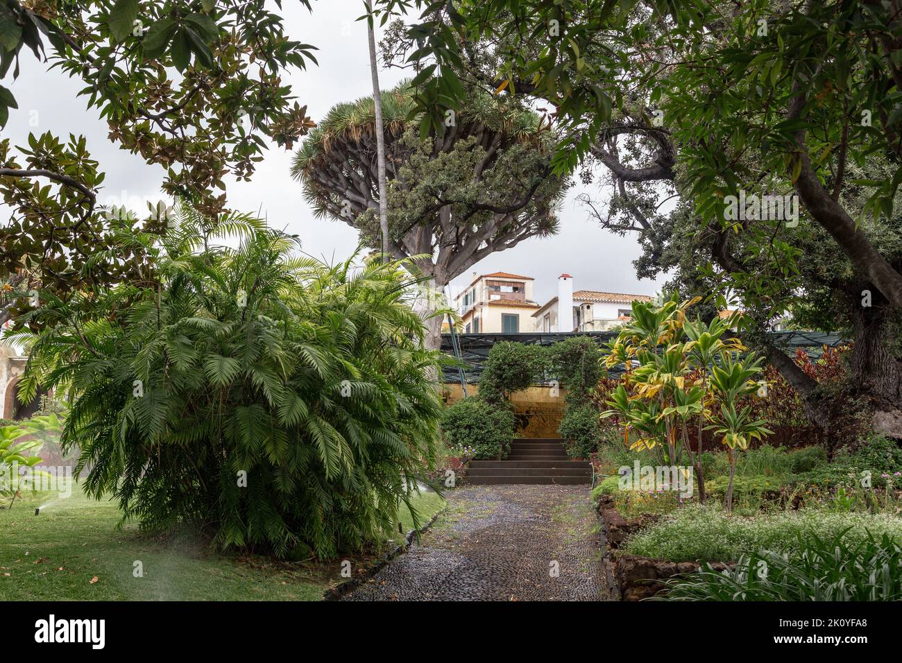 FUNCHAL, PORTUGAL - AUGUST 25, 2021: This is one of the alleys of the garden of the old Quinta das Cruzes estate museum. Stock Photo