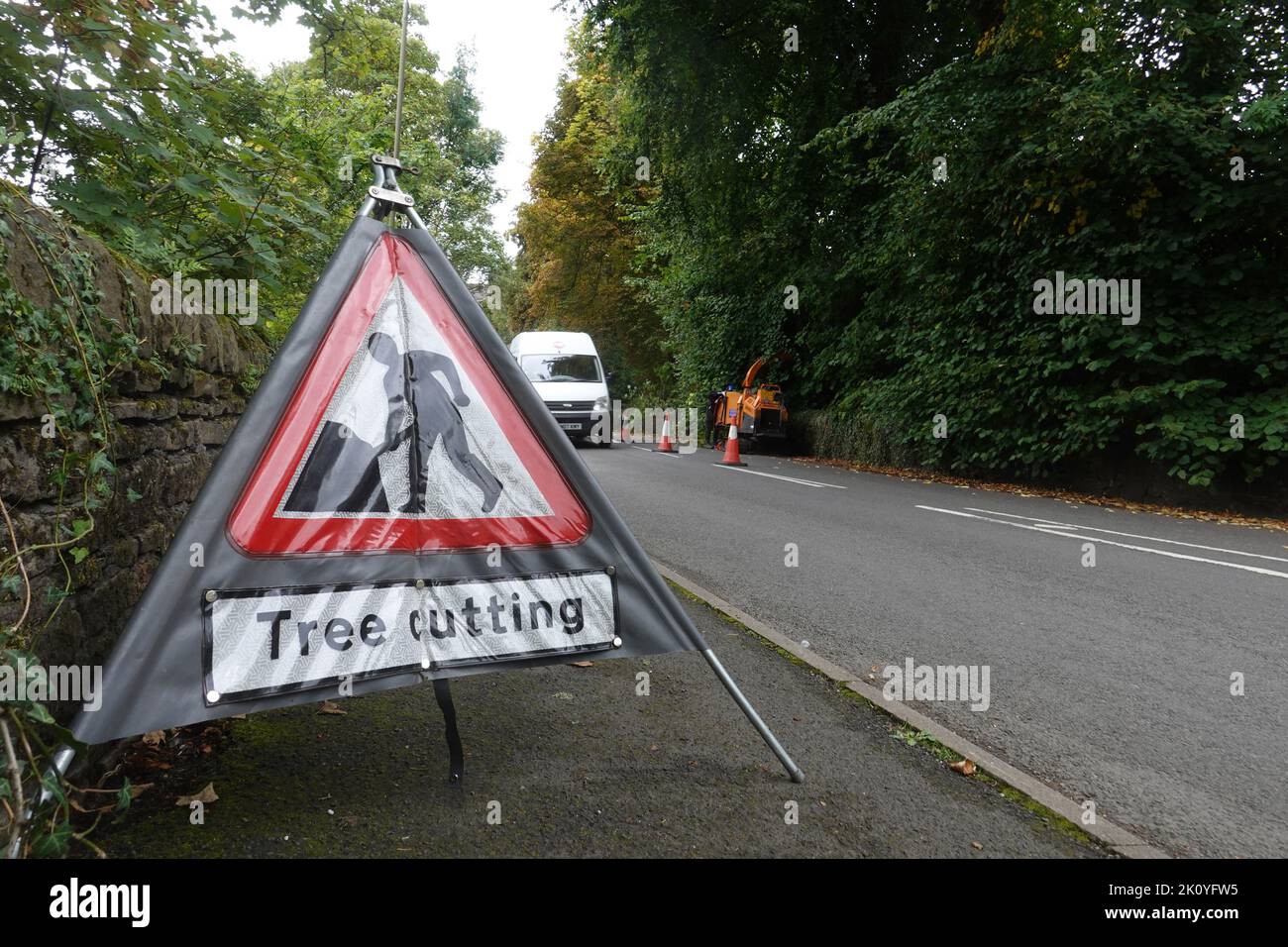 Tree cutting in New Mills, Derbyshire, where foliage is causing problems for motorists. Stock Photo