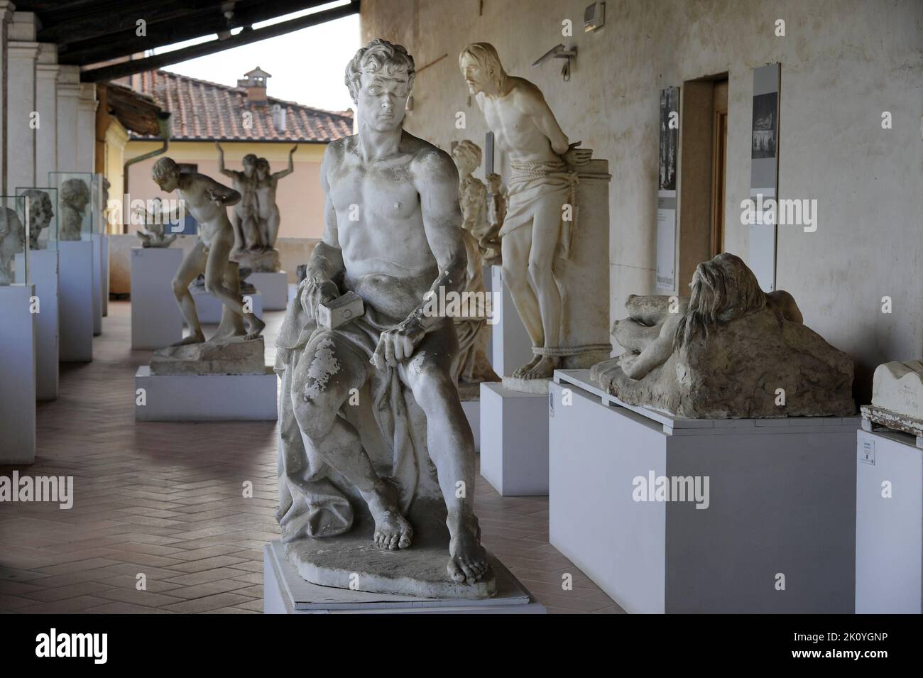 Pietrasanta (Lucca, Tuscany), sketches museum, collection of chalk moulds for following copies in marble Stock Photo