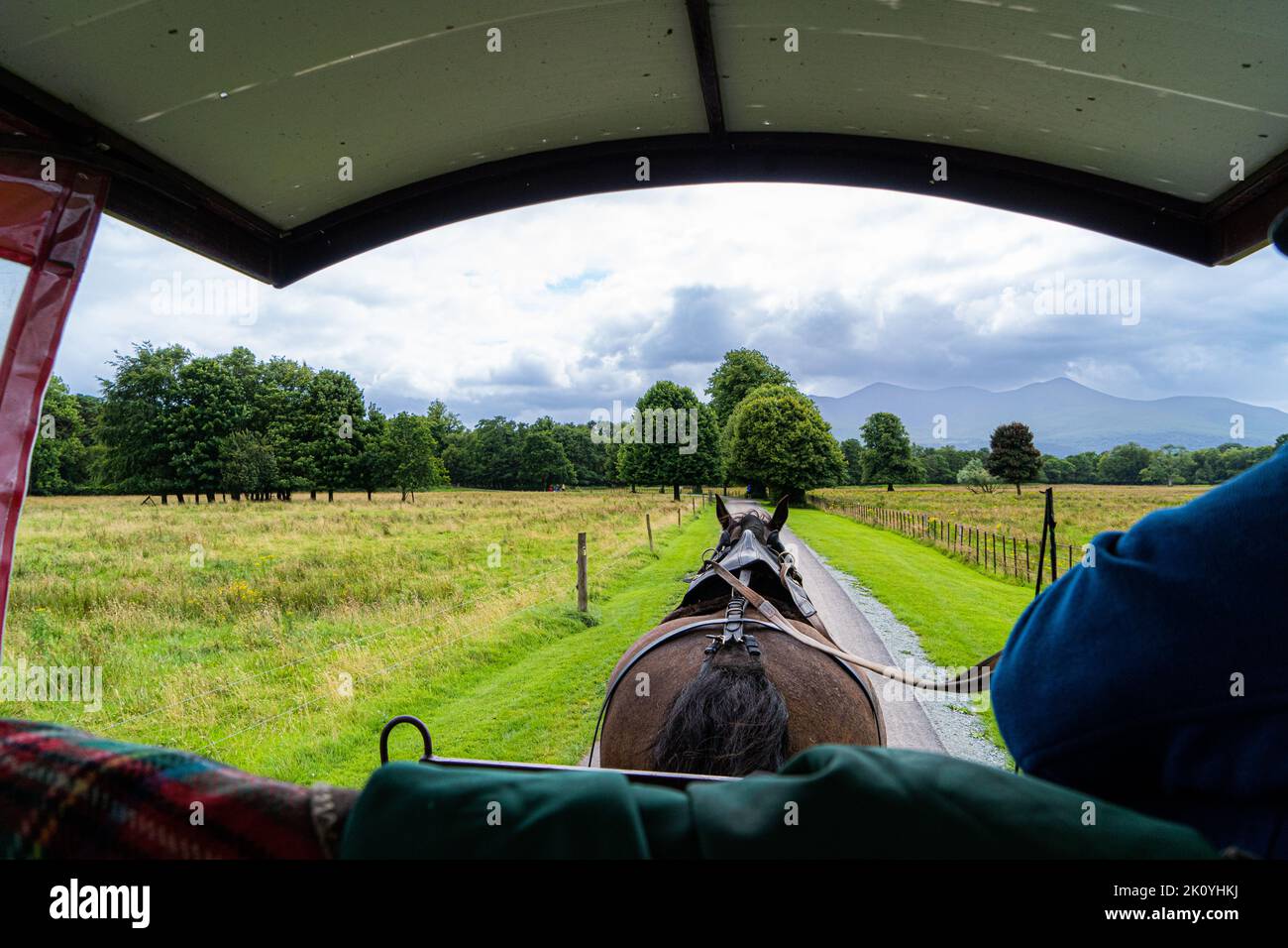 Killarney National Park with a scenic tour from Killarney Jaunting Cars