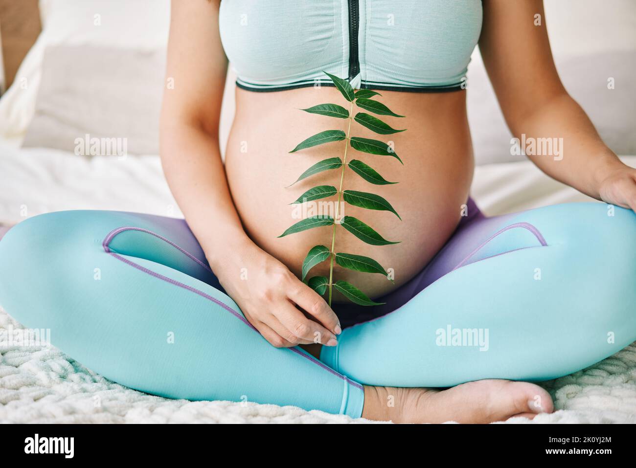 Pregnant woman holds green sprout plant near her belly. Motherhood, people and expecting concept. Last months of pregnancy. Stock Photo