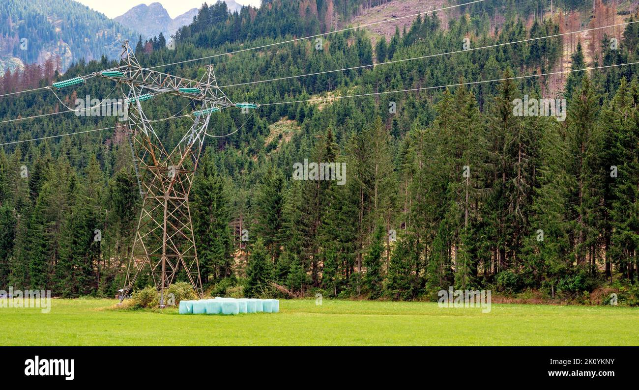 high-voltage power line with transmission tower on a fodder meadow in the lesachvalley, Austria Stock Photo