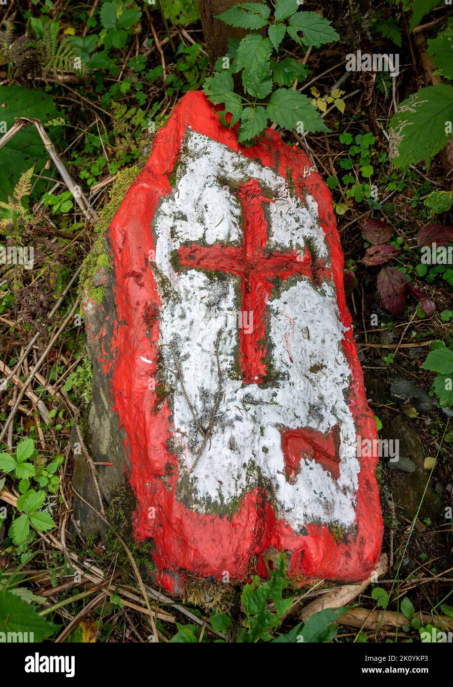 border stone with red cross on white background lying in the undergrowth on forest soil, Austria Stock Photo