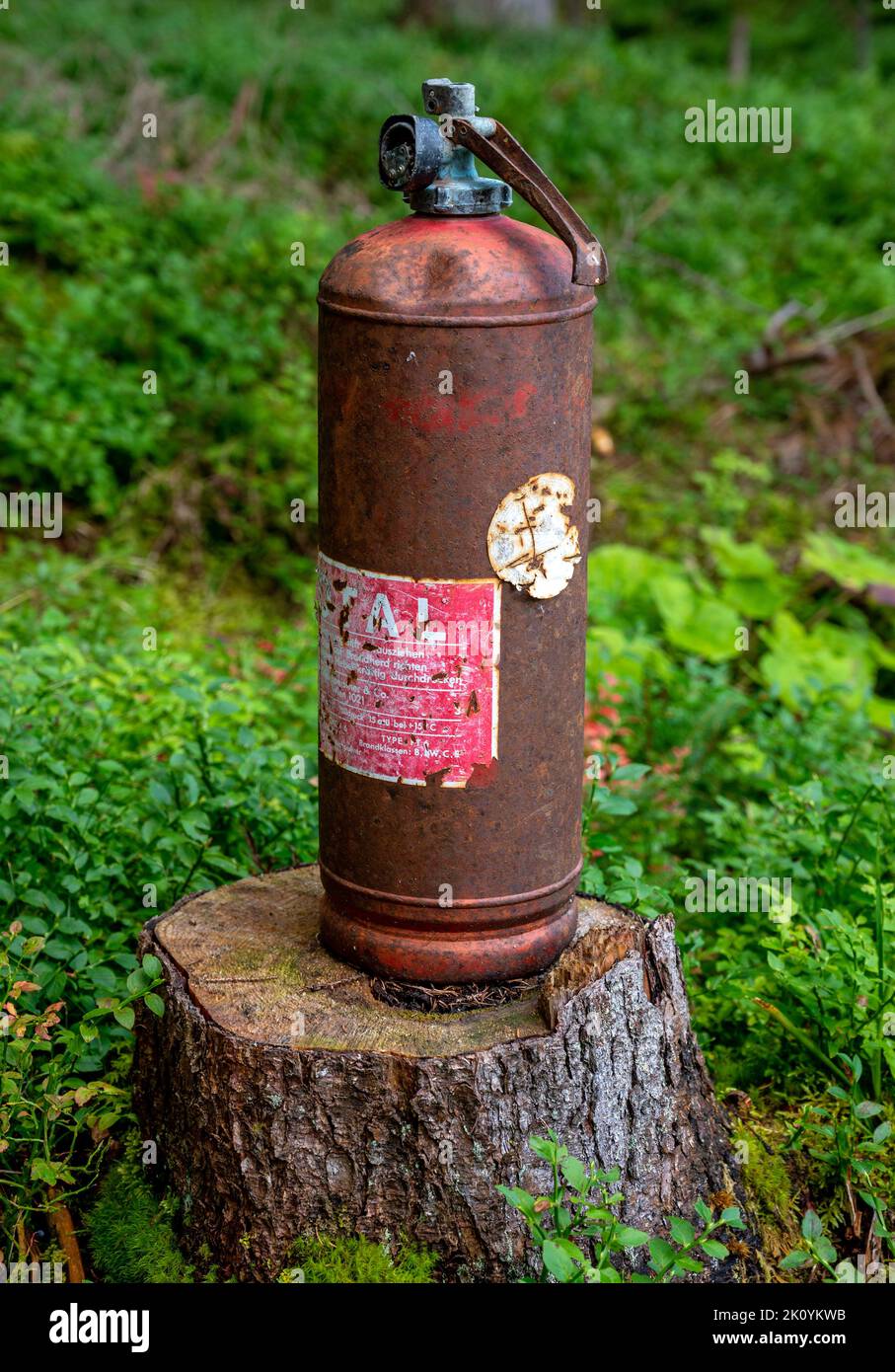 old and rusty fire extinguisher on a tree stump in a forest, Austria Stock Photo