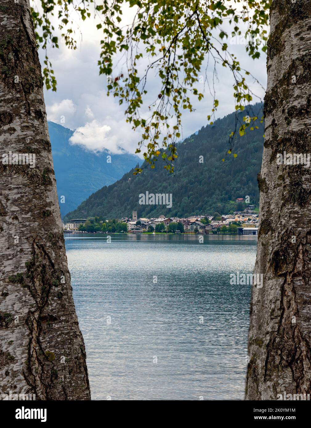 view between two birch trunks across the water surface onto the community Zell at the lake in the region Pinzgau in Salzburg, Austria Stock Photo