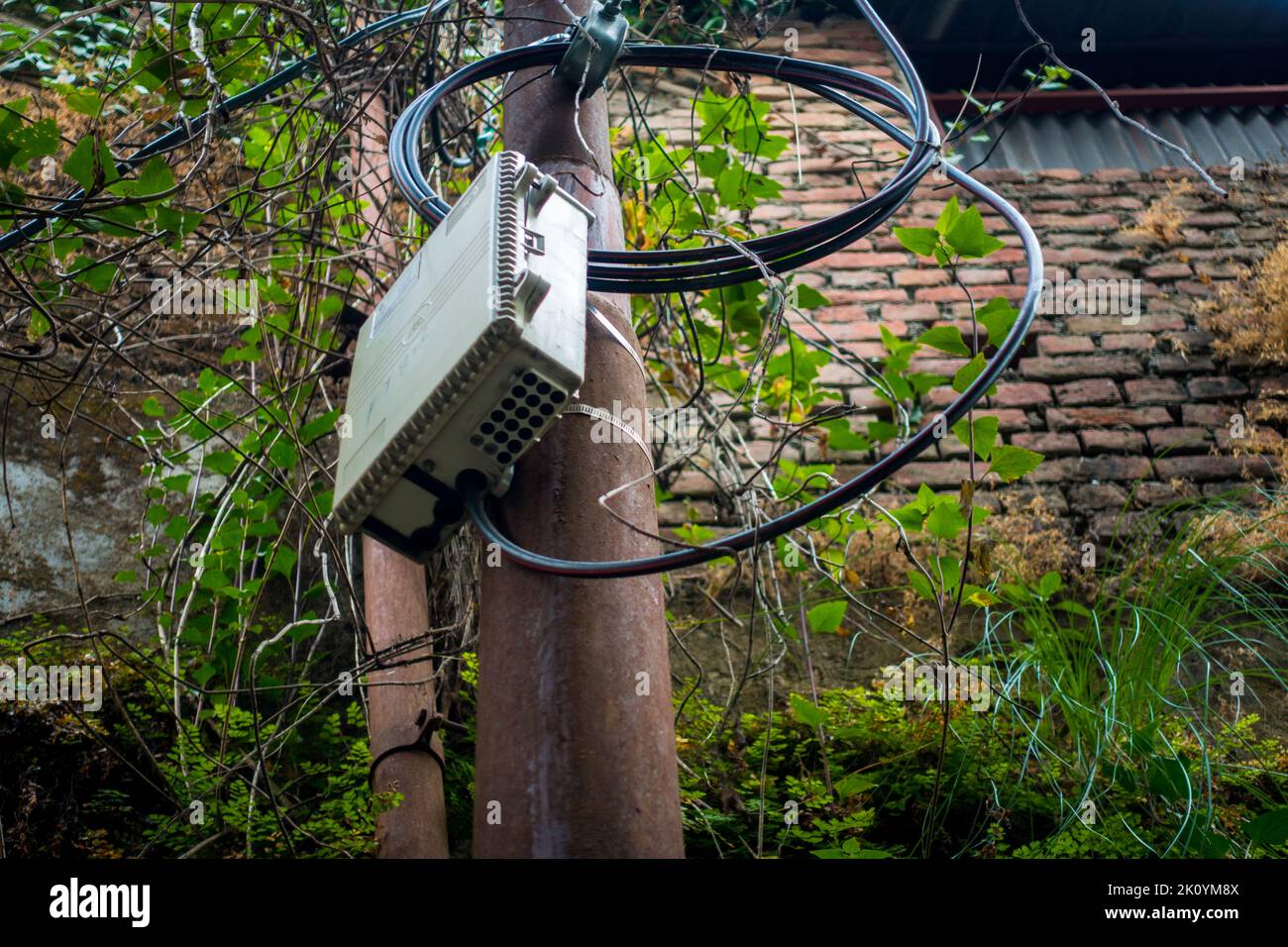 April 13th 2022, Dehradun City Uttarakhand India. JiO Fiber optics 5g Internet service distribution box with connections on an electric pole. Stock Photo