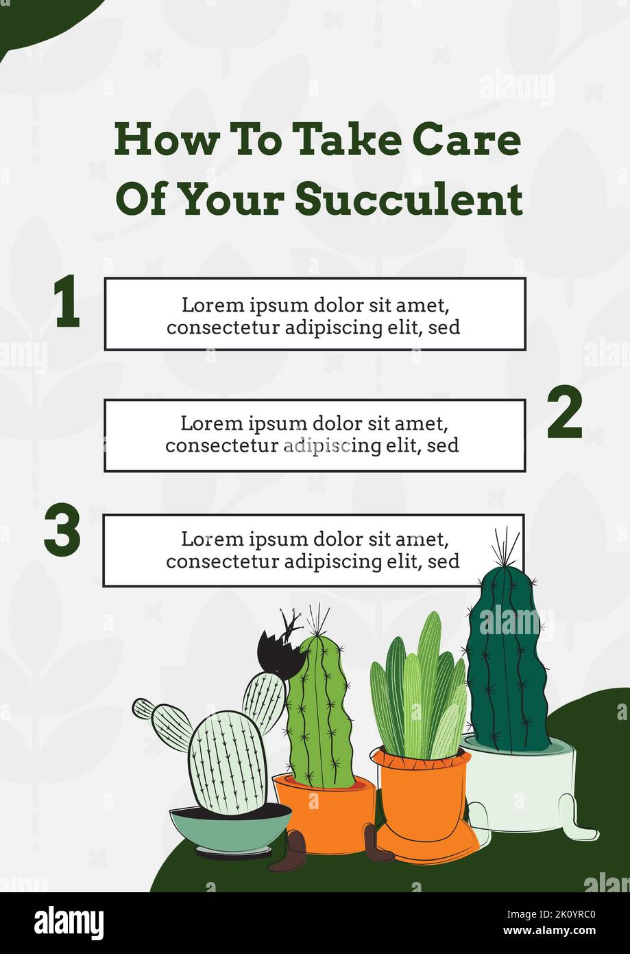 Composition of how to take care of your succulent text with cactus icons on white background Stock Photo