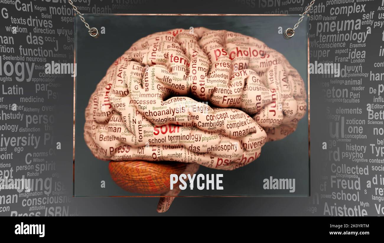 Psyche in human brain - dozens of important terms describing Psyche properties and features painted over the brain cortex to symbolize Psyche connecti Stock Photo