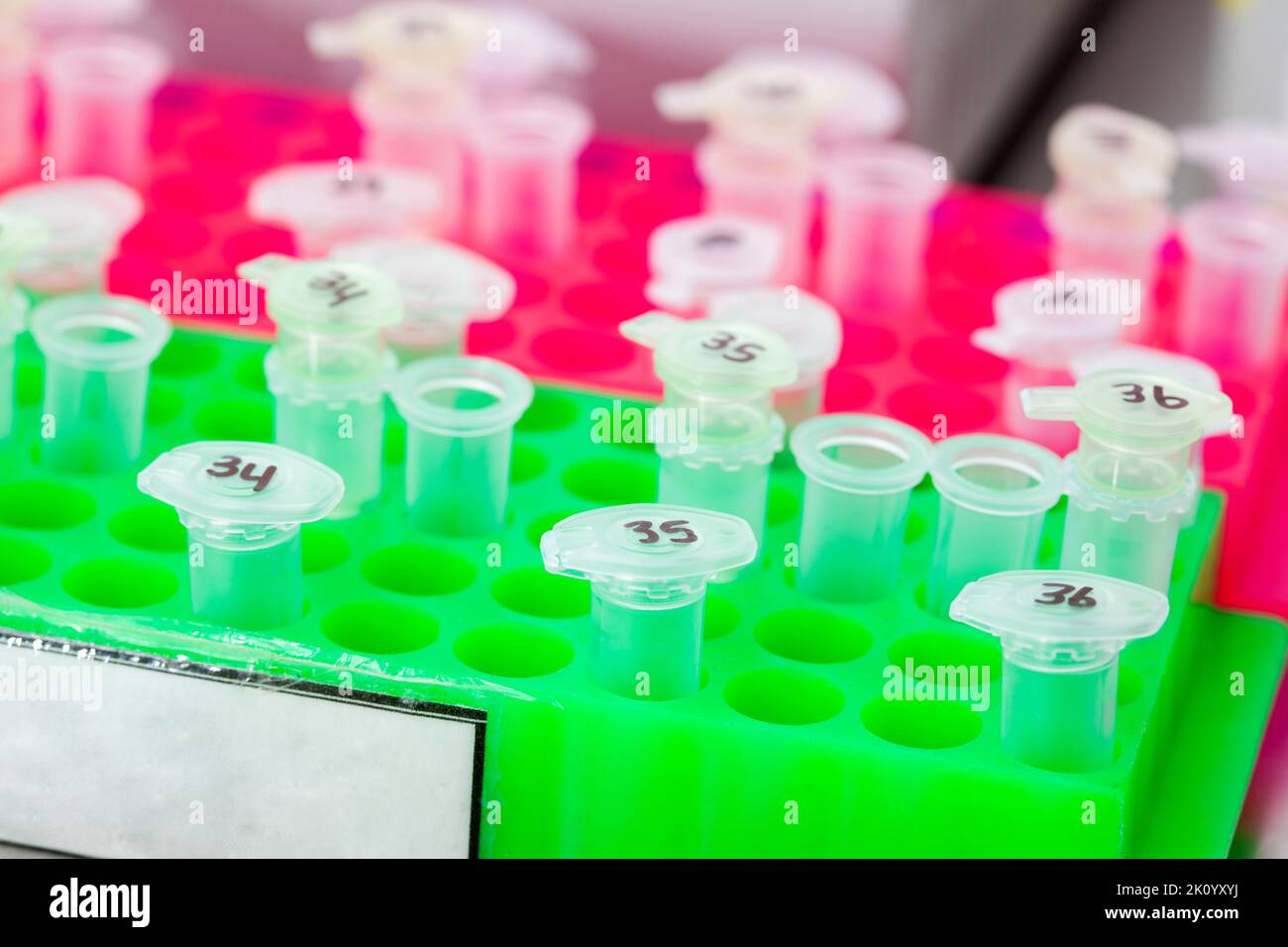 Rack of test tubes being used for DNA extraction using the spin column