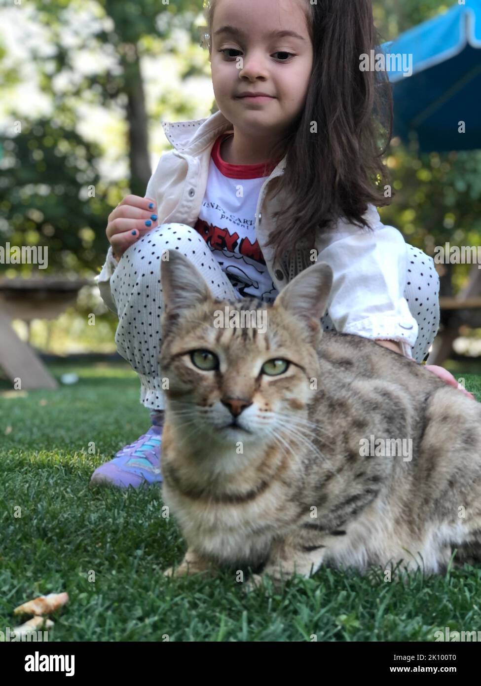 girl playing with cat in the garden Stock Photo - Alamy