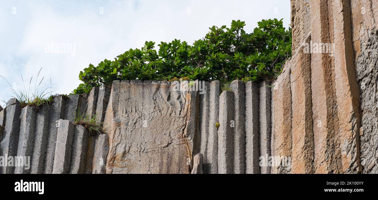 natural columnar basalt cliff with plants on top Stock Photo Alamy