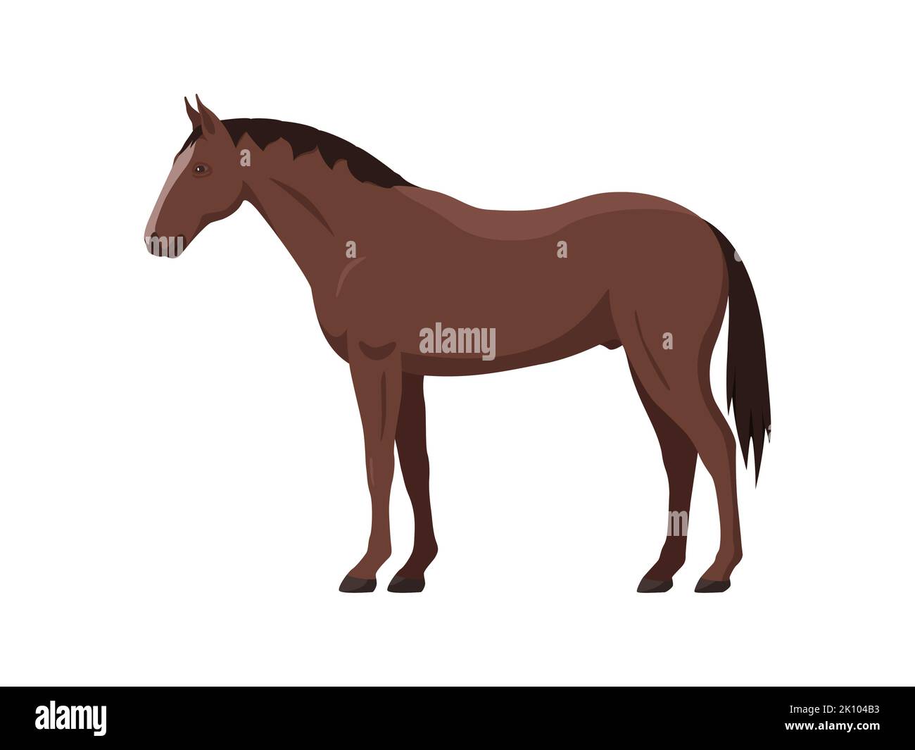 Brown horse, stallion. Vector illustration of a standing sporting farm ...