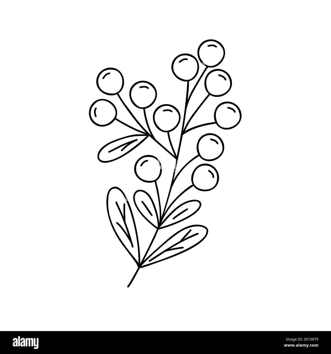 Outline plant decorative branch with leaves and berries for home decor, Christmas, New Year festive holiday arrangement, vector illustration for seasonal greeting card, invitation, banner Stock Vector