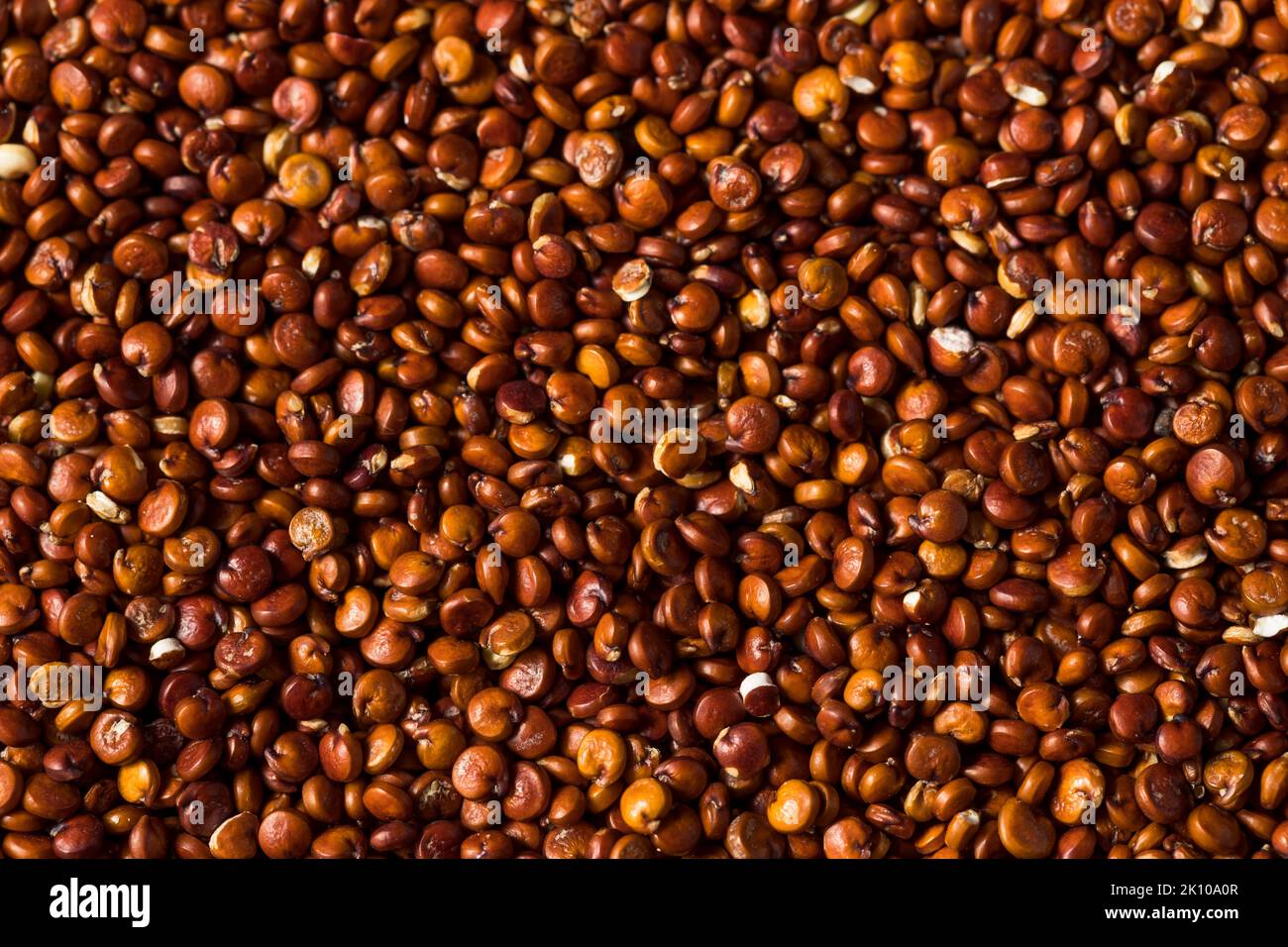 Raw Organic Red Quinoa Seed in a Bowl Stock Photo