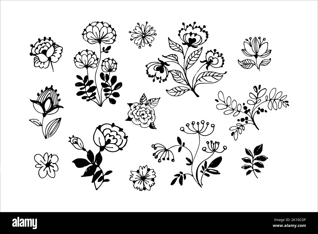 Set of hand drawn floral vector with leaves, flowers and branches ...