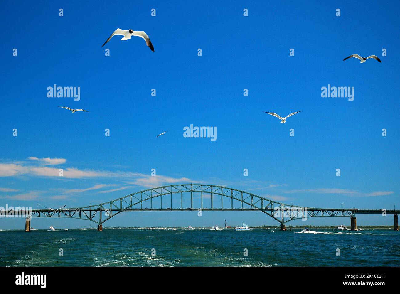 A seagull glides though the summer sky over the bay off Long Island within sight of the Robert Moses Causeway Stock Photo
