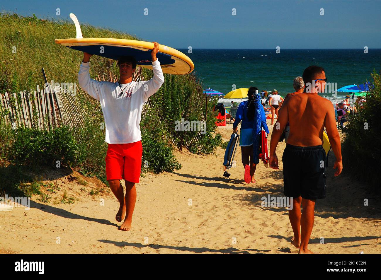 A lifeguard, working a summer job, carries a surfboard from the lifeguard stand through a path in the dunes at Ditch Plains Beach in Montauk, Stock Photo